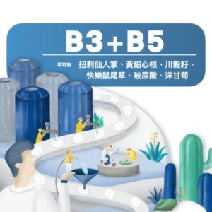 超儲水仙人掌面膜-亞洲女版-100片 (無外盒)➟ 平均單片45元