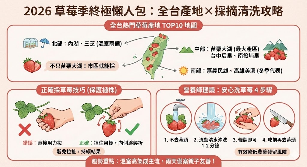 🍓【2026 草莓季終極懶人包】採草莓不只苗栗大湖! 2 2026草莓季終極懶人包
