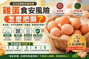 Read more about the article 雞蛋食安風險怎麼把關？｜禽流感、沙門氏菌頻傳！洗選蛋、溯源碼、生食級雞蛋怎麼選？｜2026最新挑蛋指南一次看懂