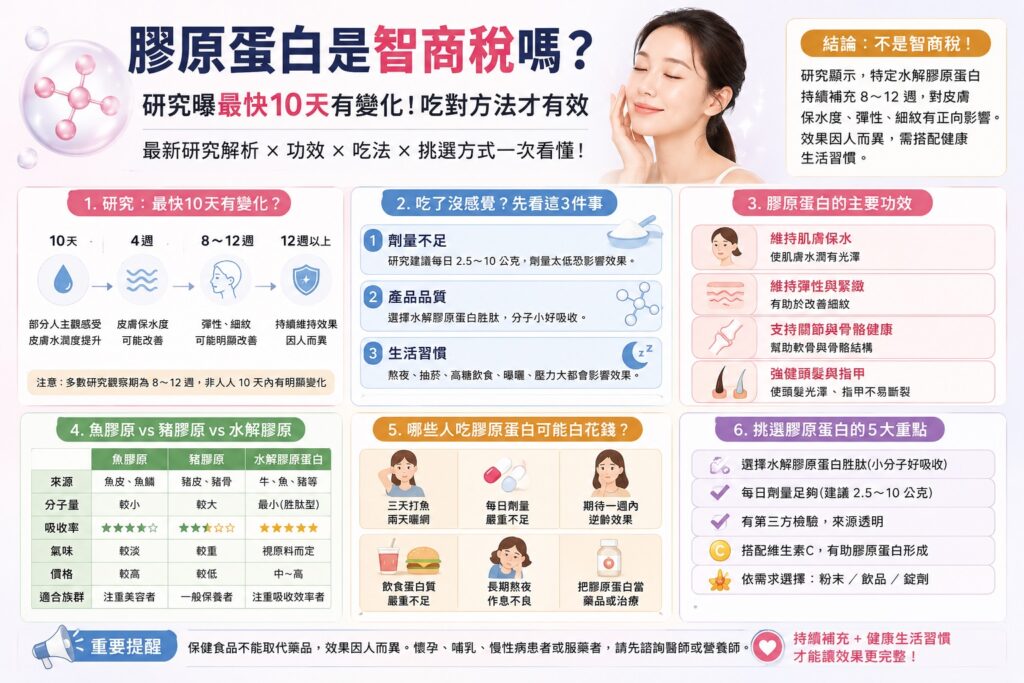 膠原蛋白是智商稅嗎?研究曝最快10天有變化!功效、吃法、挑選方式一次看【2026最新】 2 膠原蛋白是智商稅嗎?研究曝最快10天有變化!功效、吃法、挑選方式一次看【2026最新】